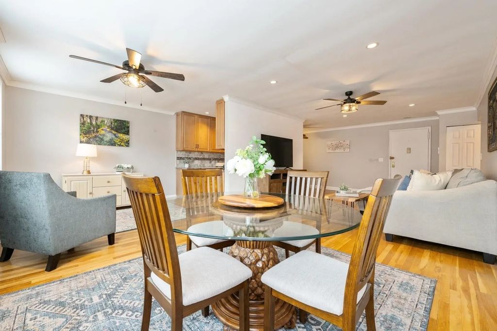 3 Birchwood Court 4f, Mineola