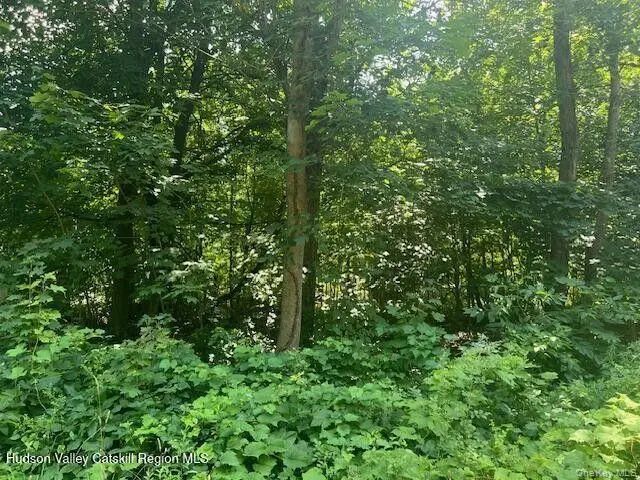 7 Ulster Avenue, Esopus