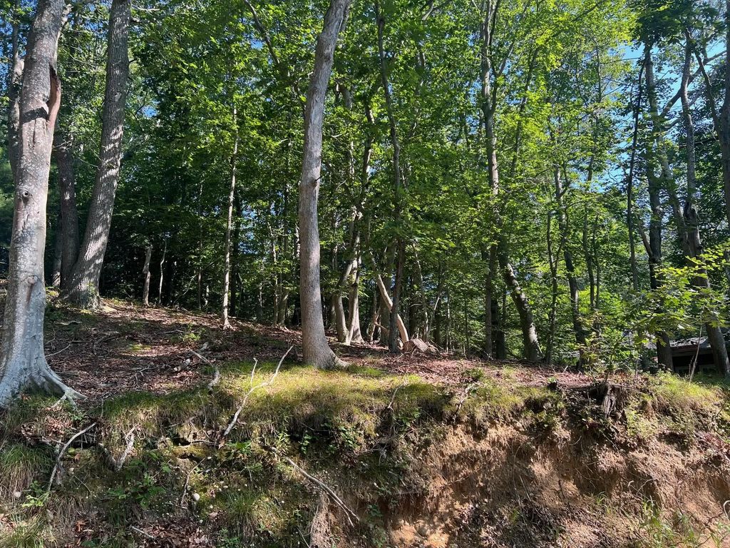 Fern Road, Calverton
