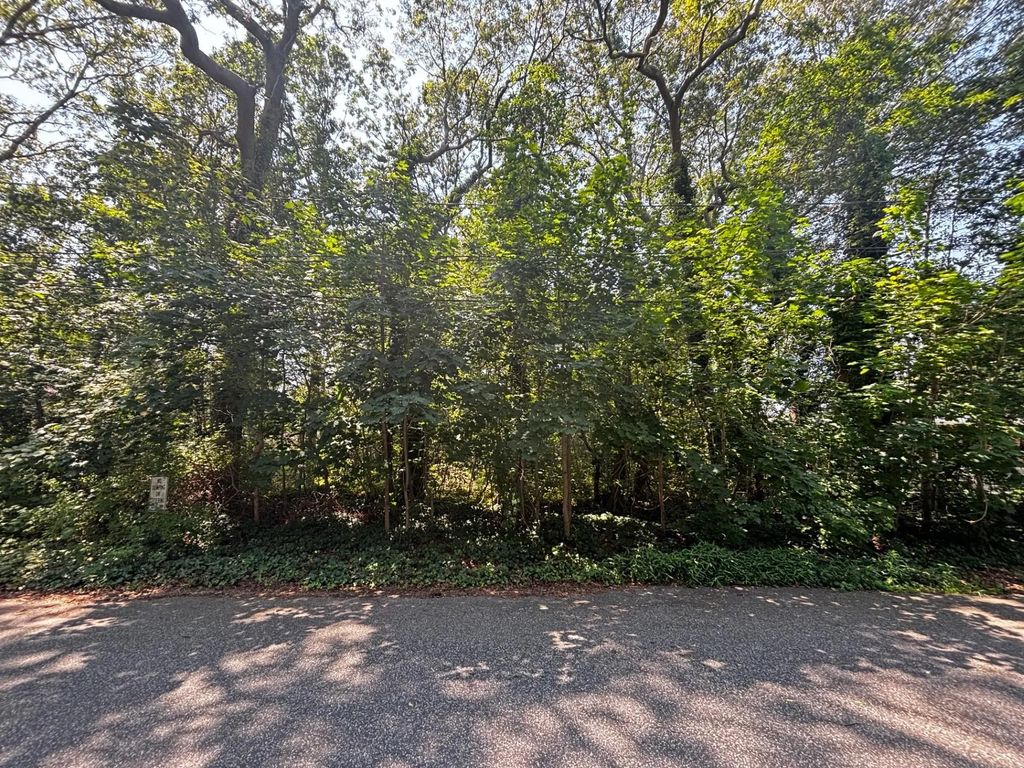 Holly Lane, Shirley