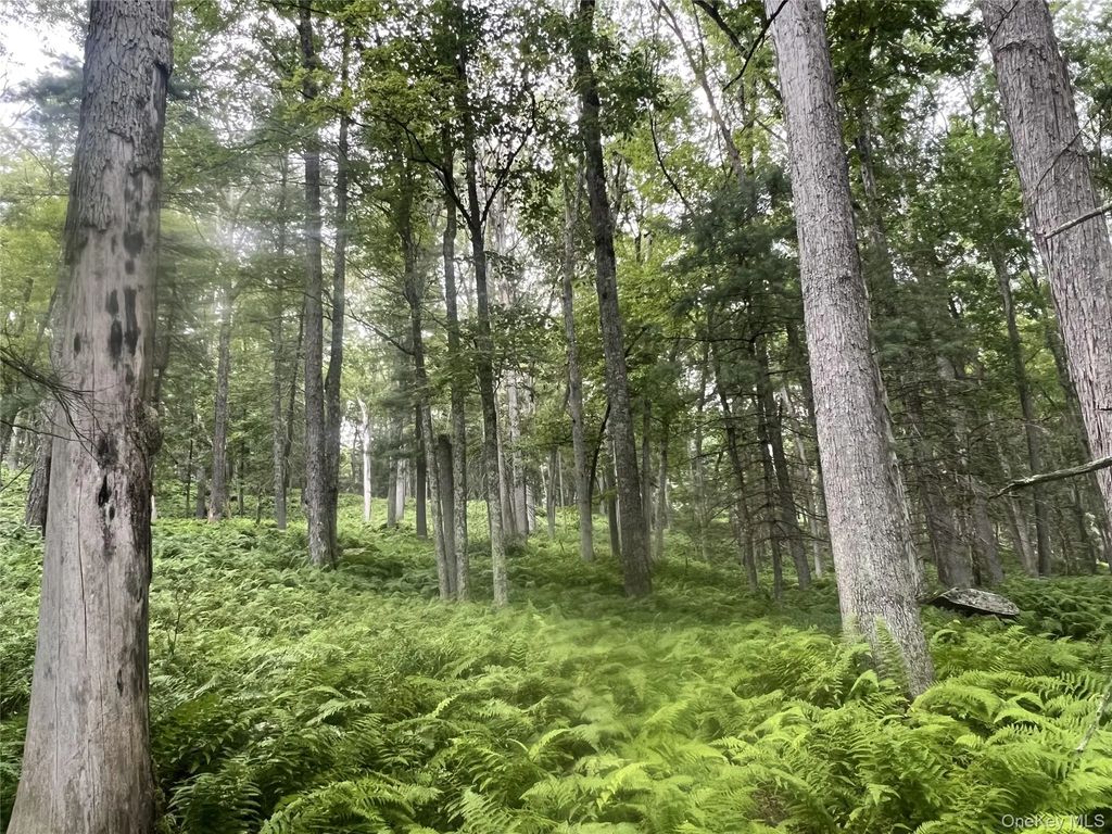 259 Lackawaxen Road, Narrowsburg