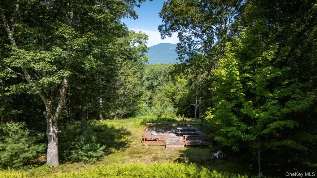 327 Phillips Road, Saugerties