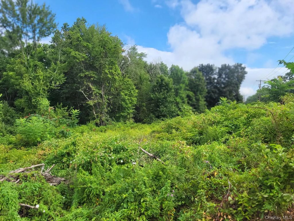 W Nys Rte 208 Highway (bona Ventura) Avenue, Wallkill