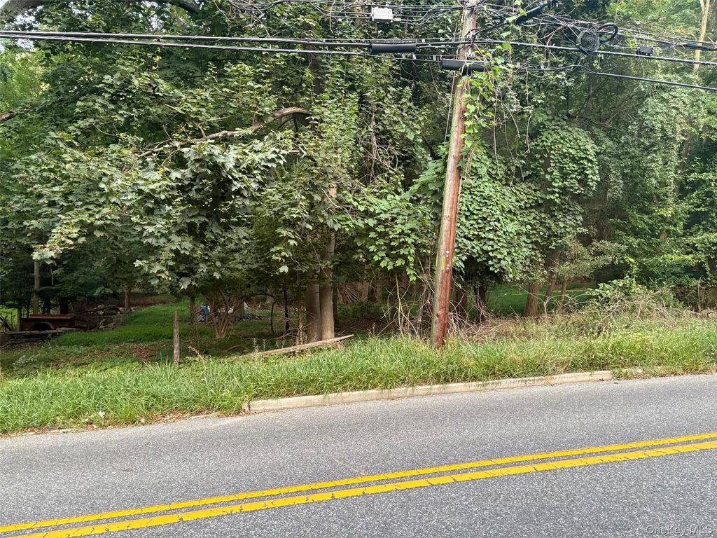 Dark Hollow Road, Port Jefferson