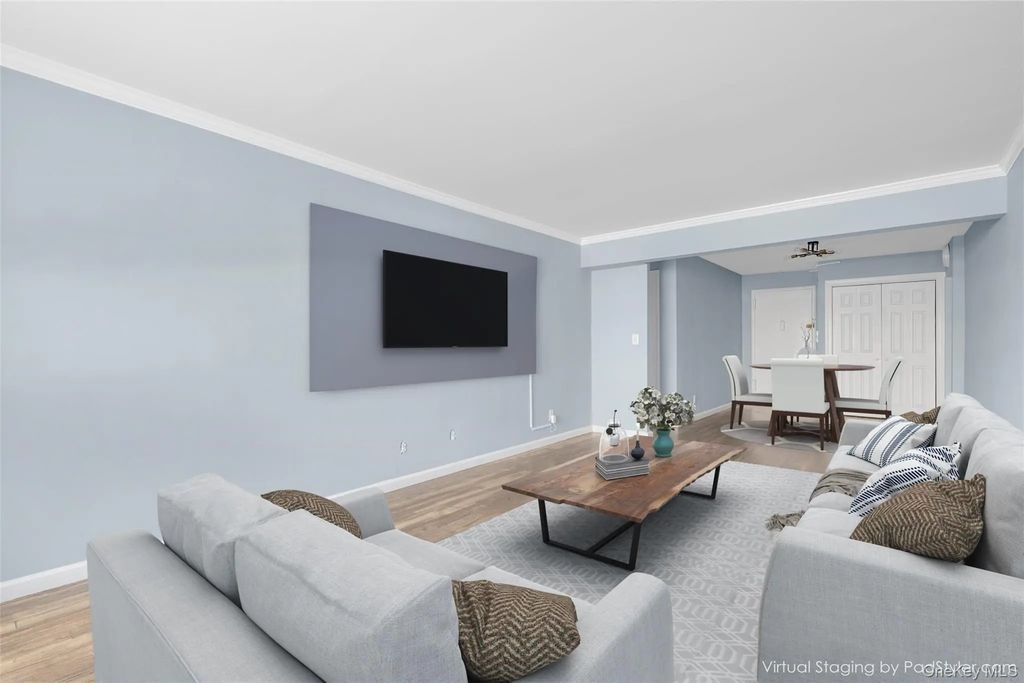 2 Birchwood Court 1o, Mineola