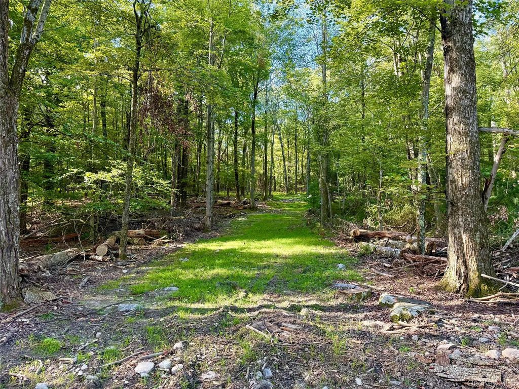 Mt Prosper Road, Wurtsboro