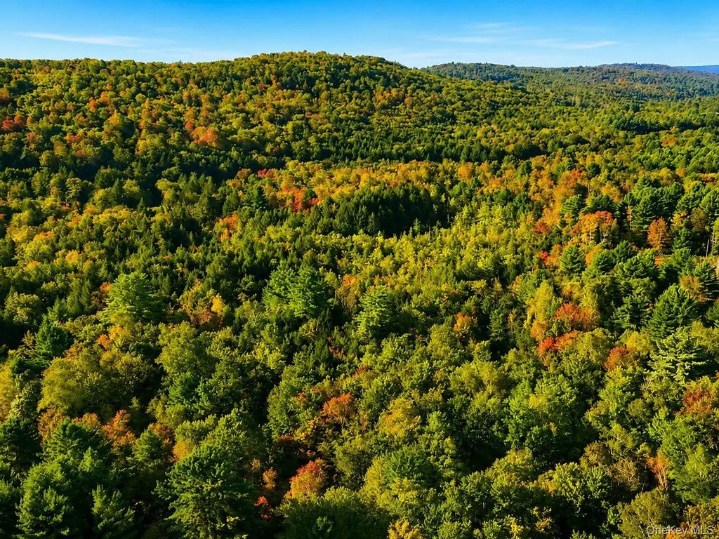 Town Park Road, Monticello