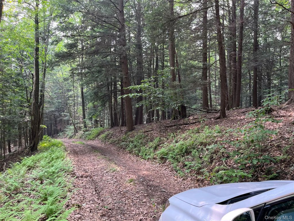 Hood Road, Roscoe