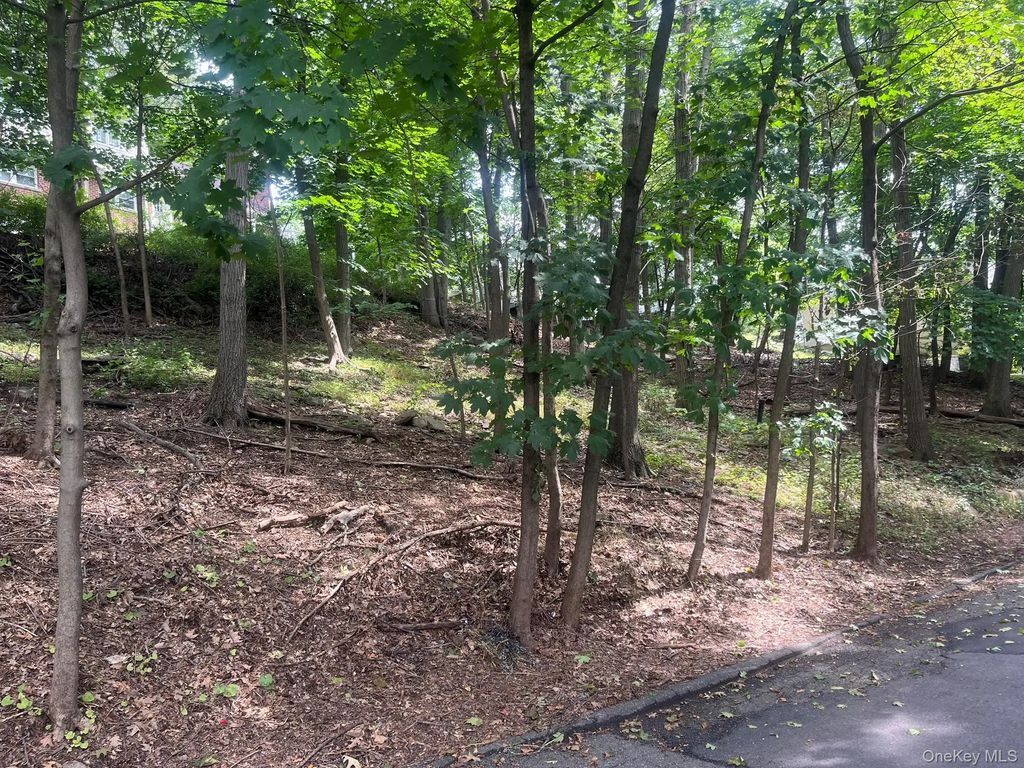 Springwood Avenue, Ardsley