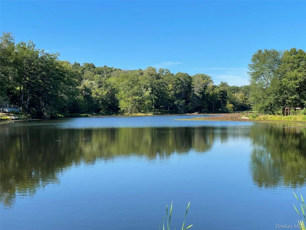 Tbd Lake Shore Drive, Pine Bush