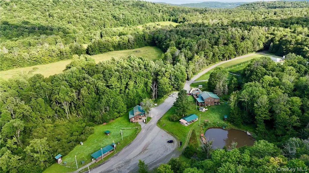 374 Neer Road, Long Eddy