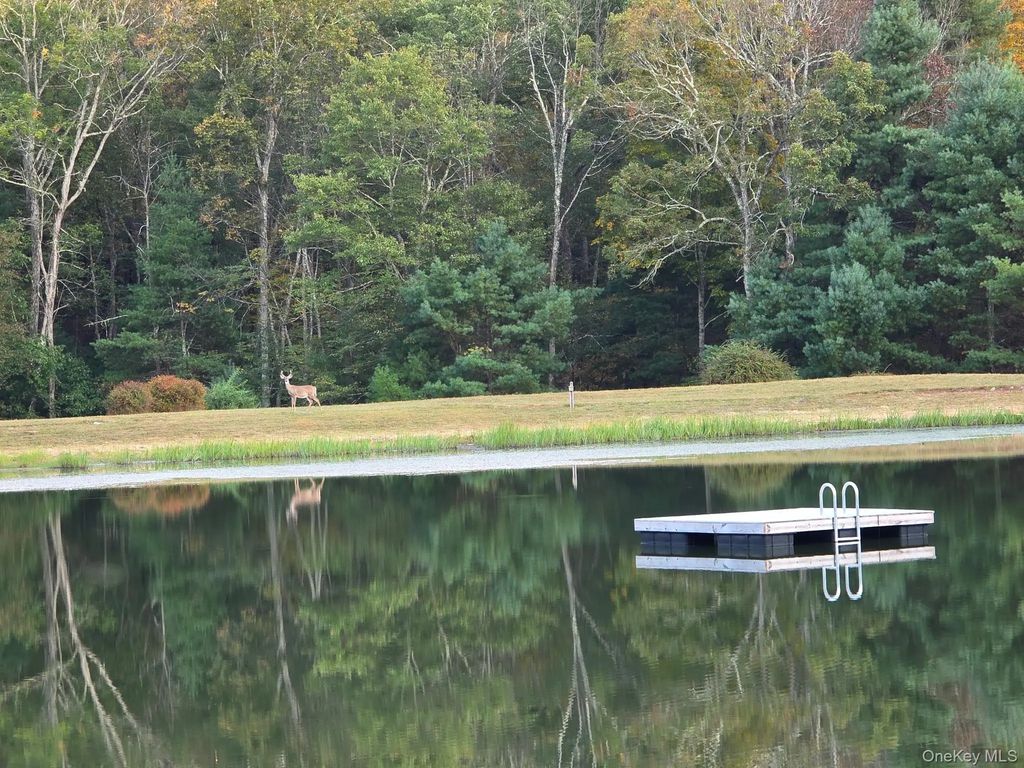 Split Rock Drive, Barryville