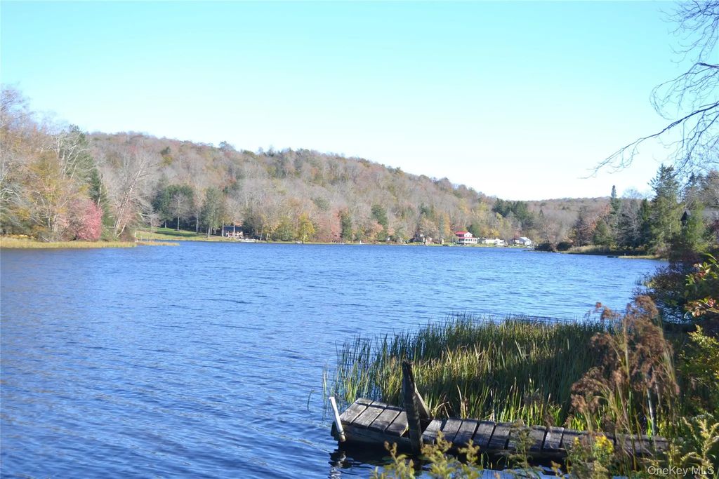 238 Trout Brook Road, Roscoe