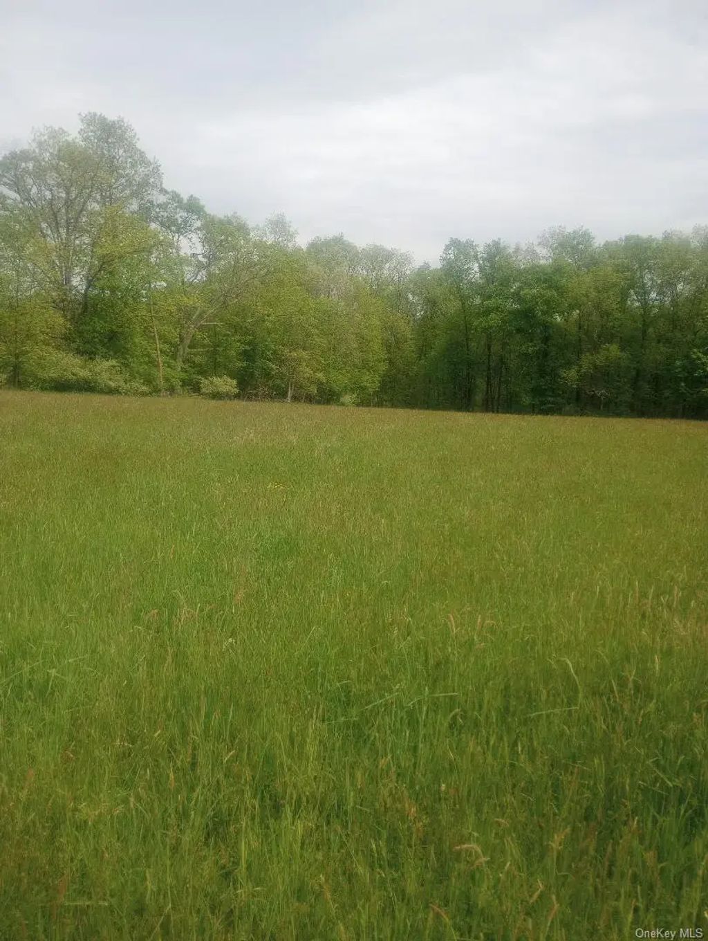 Myers Rd. Westtown, Ny 10 Myers Road, Westtown