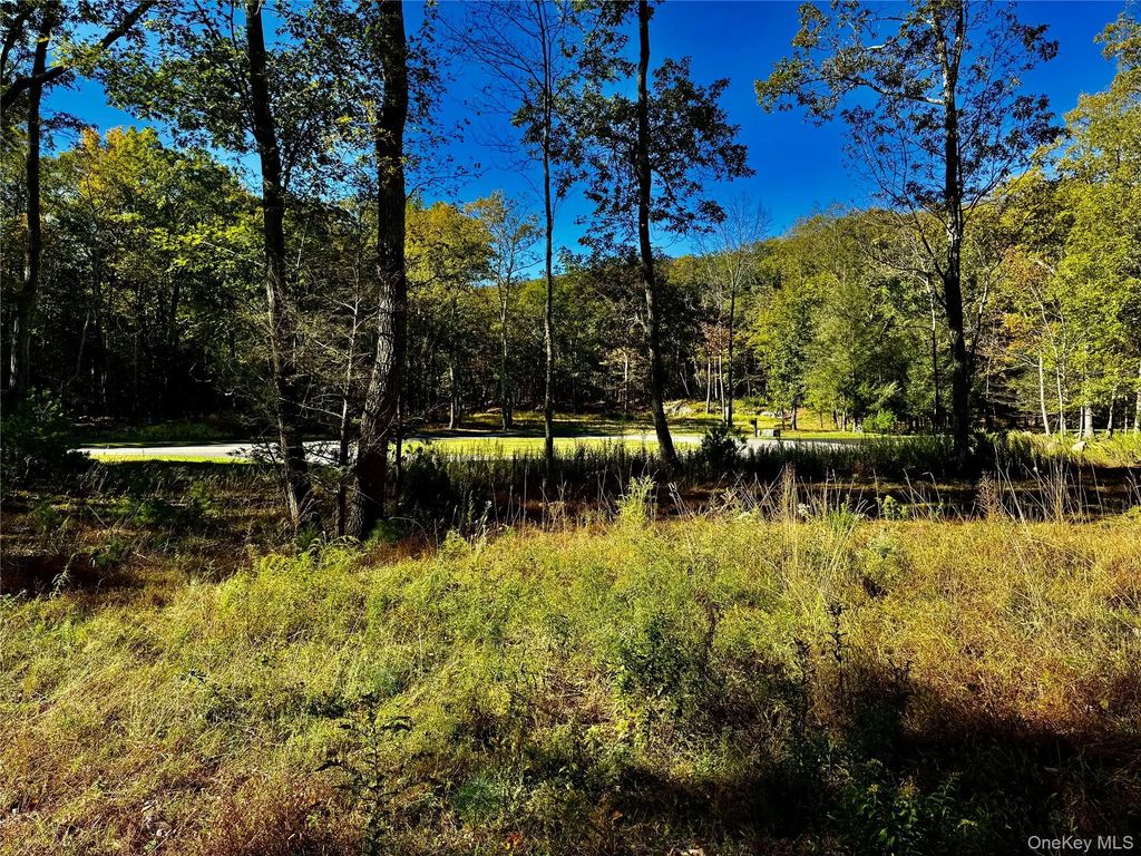 86 Falling Waters Drive, Palenville