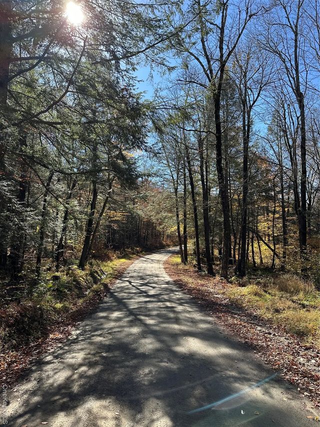 24 Mud Pond Road, Livingston Manor