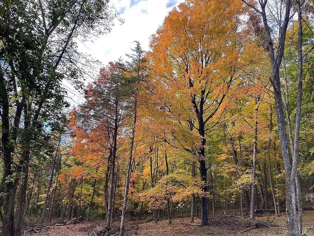 410 County Rt. 25, Hudson