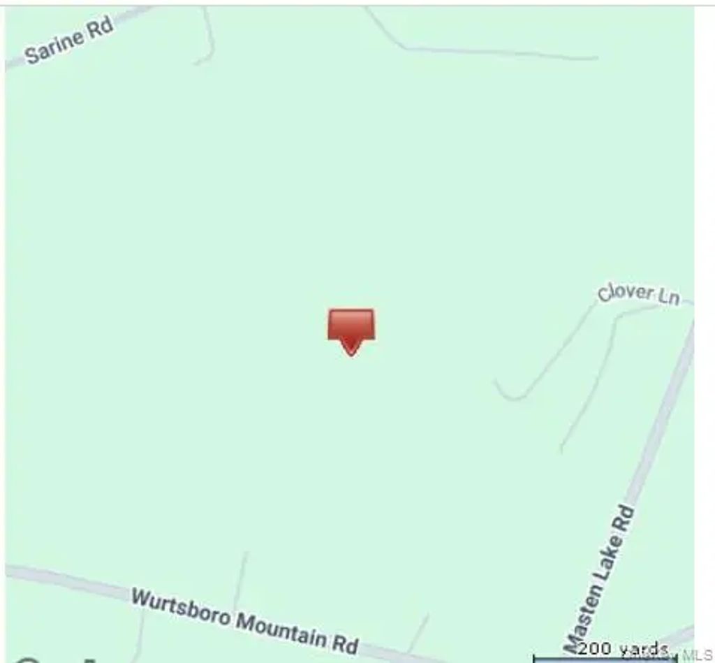 Park Avenue, Wurtsboro