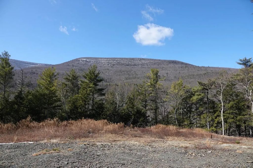 Tbd Manorville Road, Saugerties