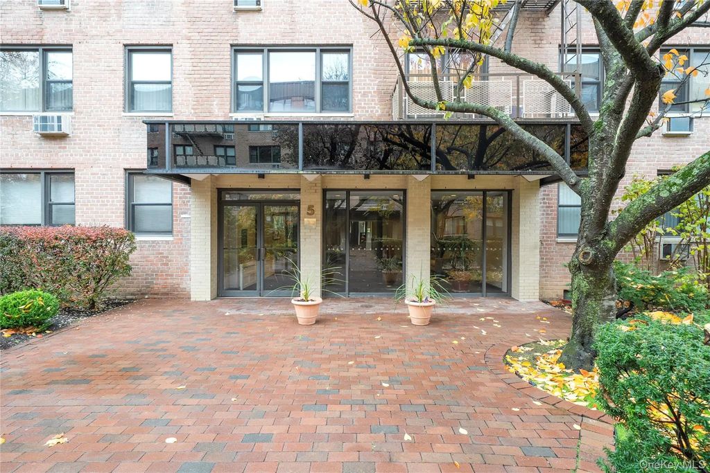 5 Birchwood Court 3n, Mineola