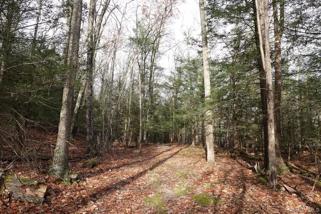 738 Manorville Road, Saugerties