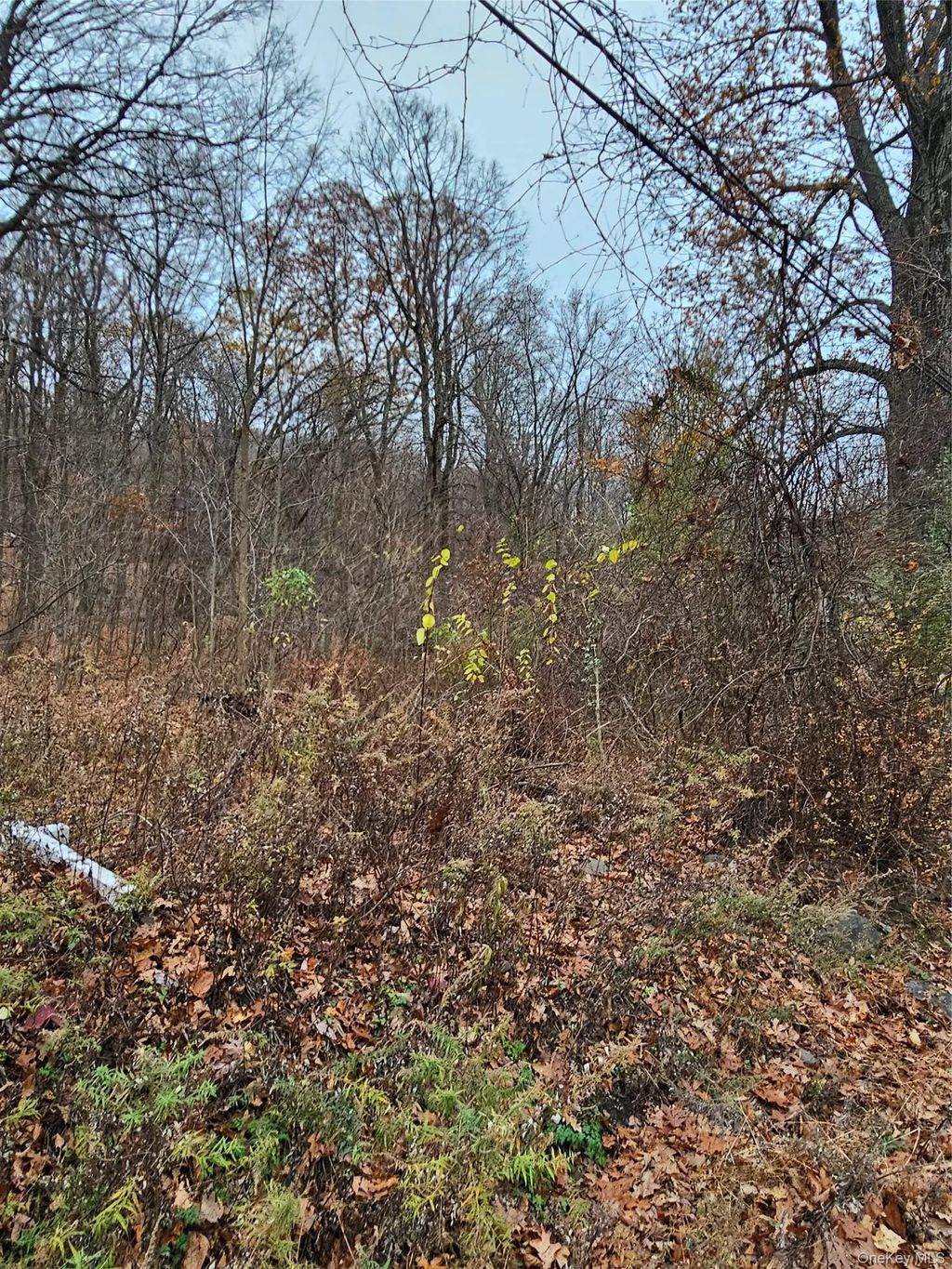 73 Sylvan Trail, Blooming Grove