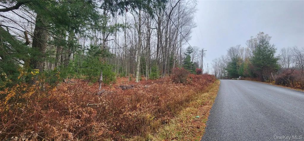 Thompson Road, Thompsonville