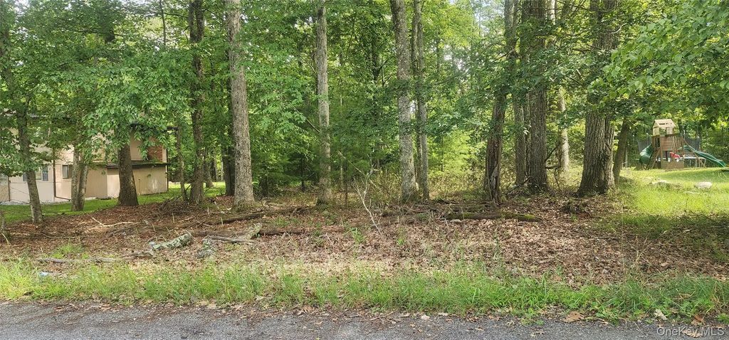 Chelsea Lane, Rock Hill