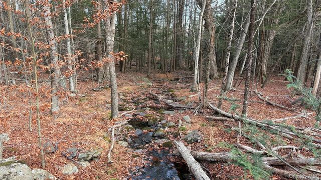 X Aldrich Road, Wurtsboro