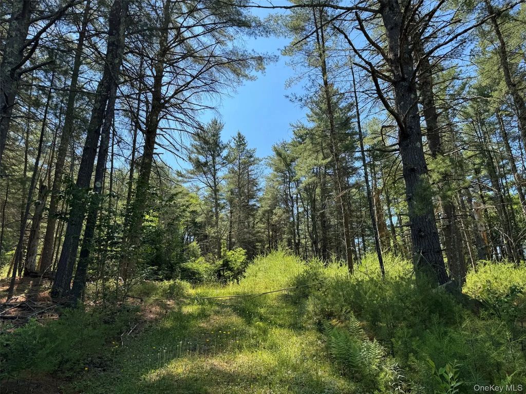 1315 Sackett Lake Rd, Forestburgh