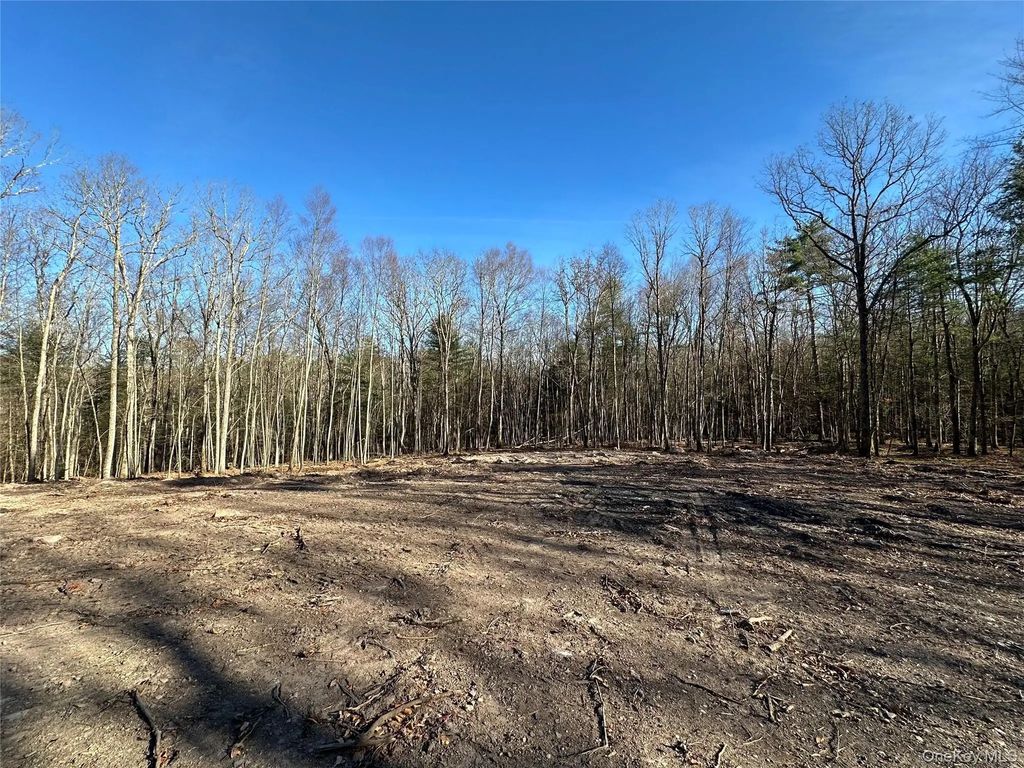 Lot 1.6 Foster (south) Trail, Narrowsburg