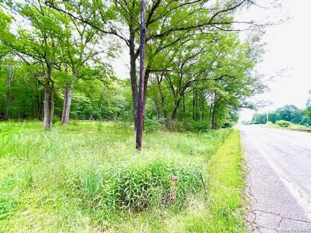 7584 N Route 97 S, Narrowsburg