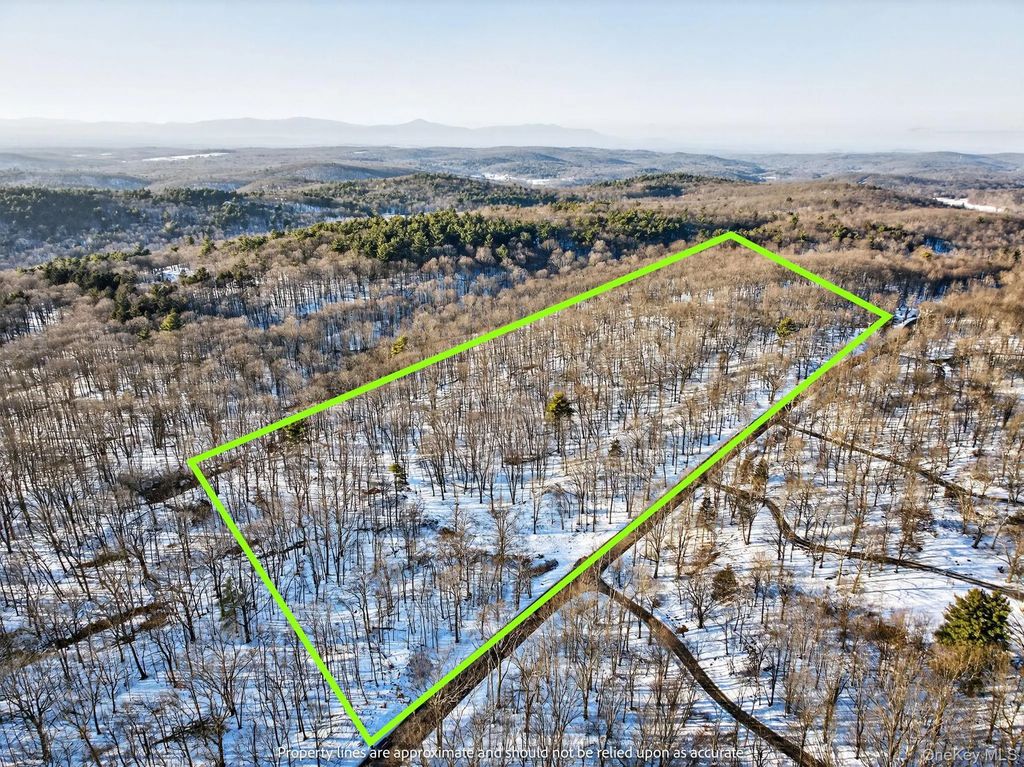 Tbd Hicks Hill Road, Pine Plains