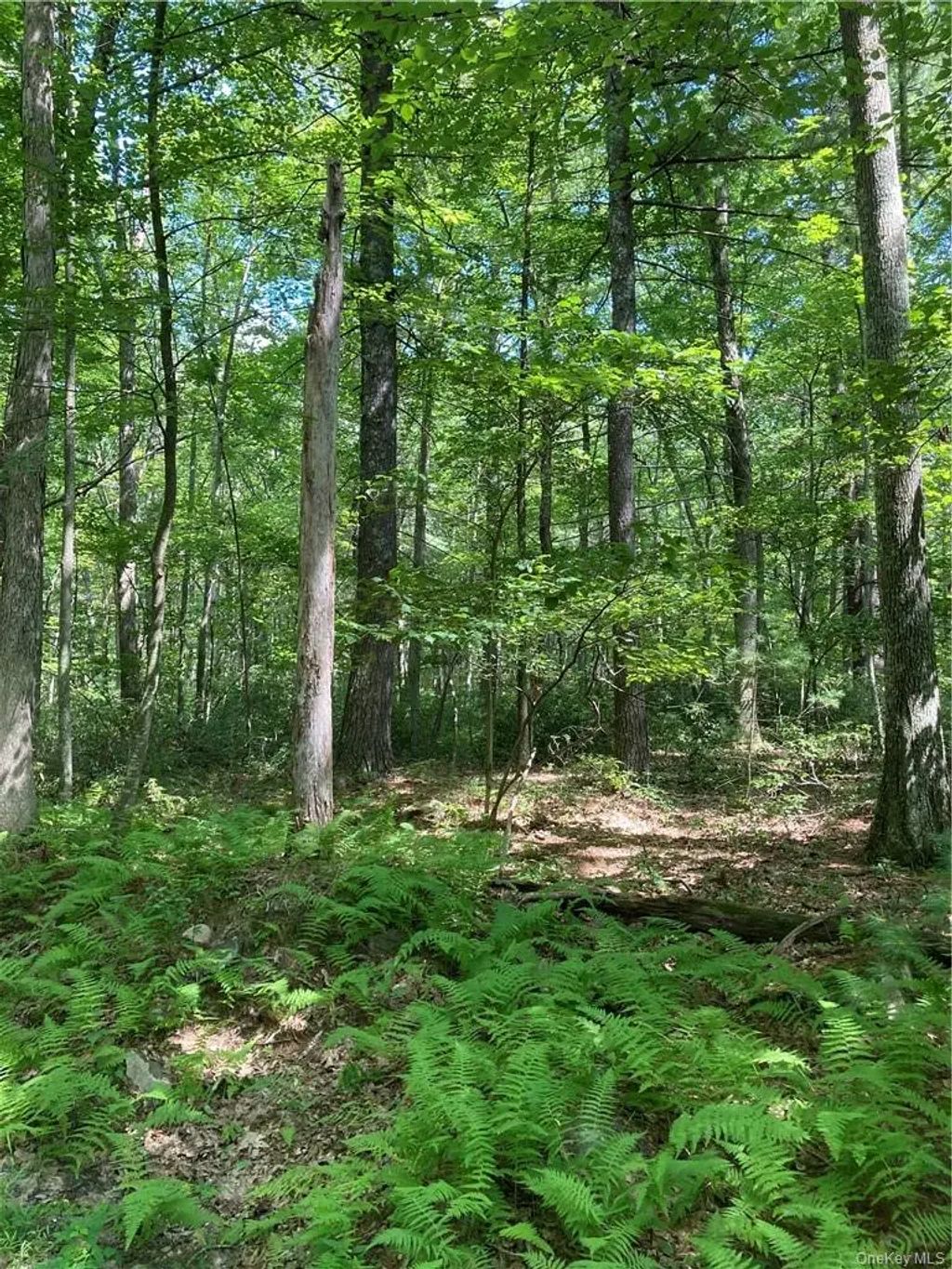 Allen Road, Wurtsboro