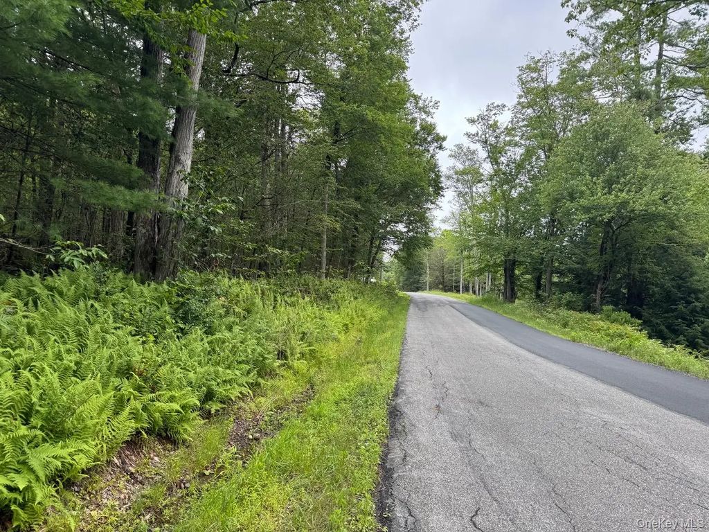Starlight Road, Monticello