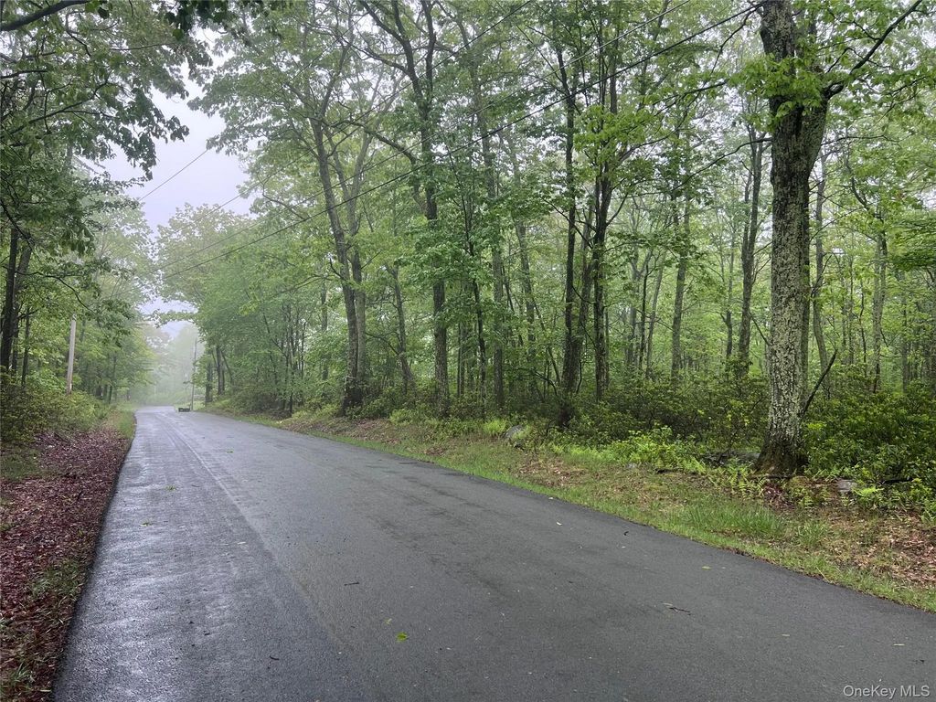 Budd Road, Wurtsboro
