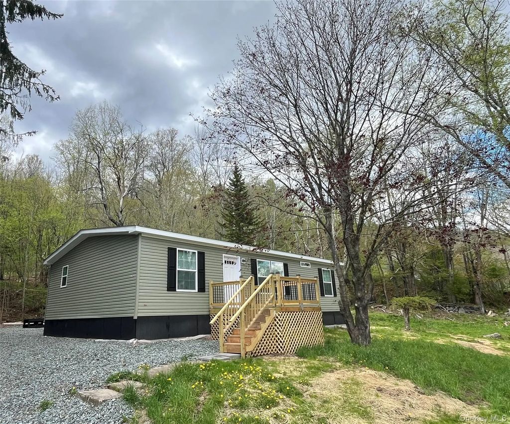 317 Debruce Road, Livingston Manor