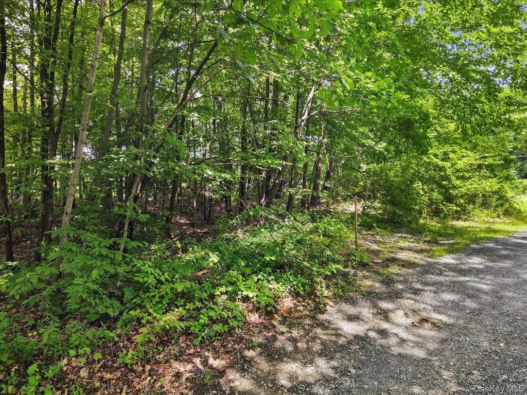 Beckrick Drive, Rhinebeck