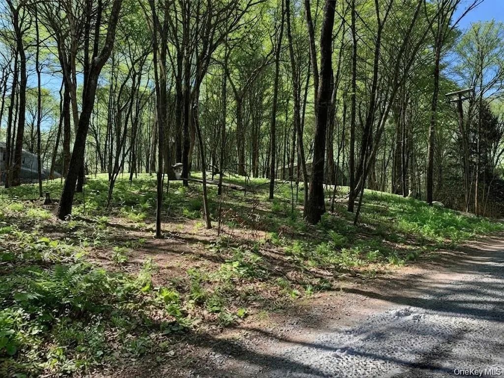 Lakeview Drive, Pawling