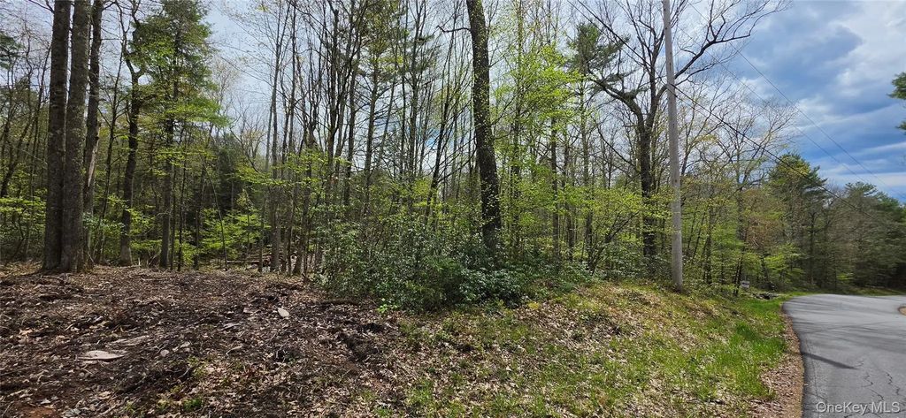 Lot 82 Perry Pond Road, Narrowsburg