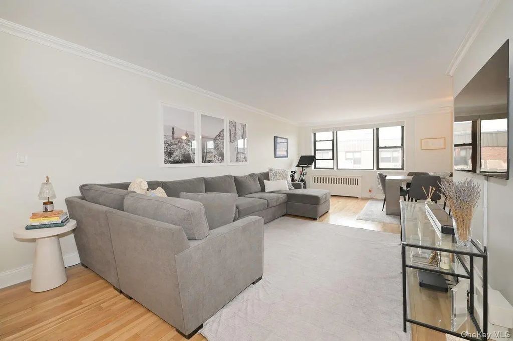 5 Birchwood Court 5j, Mineola