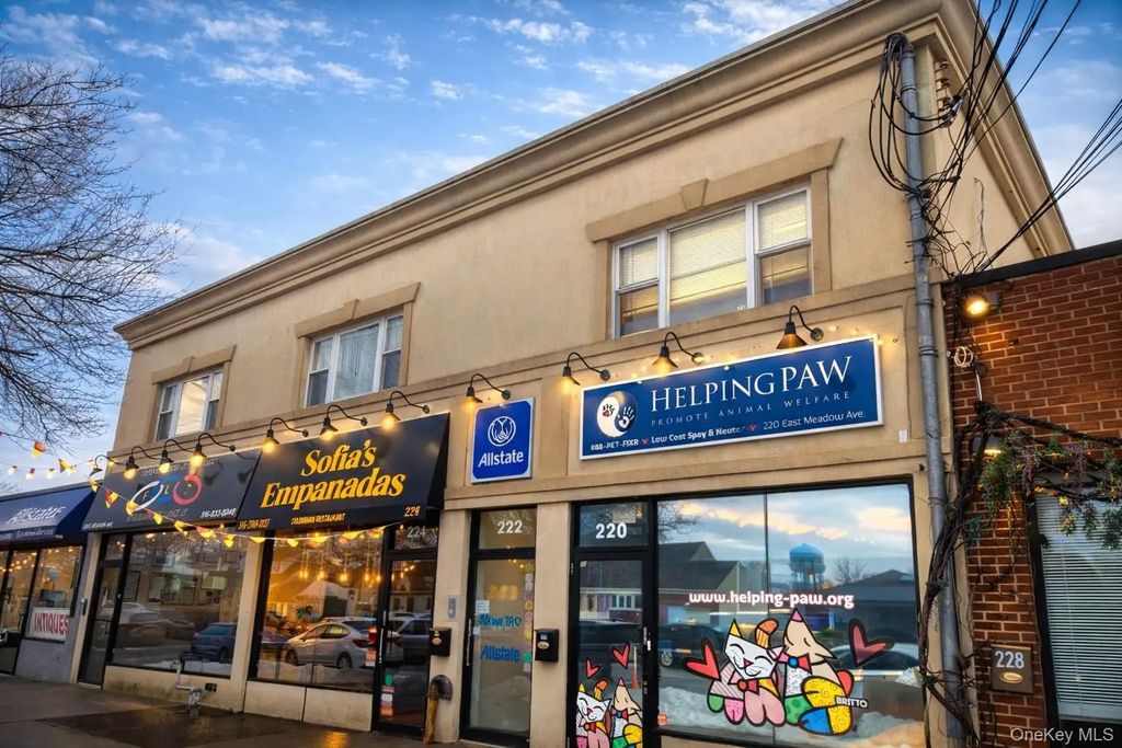 220-226 East Meadow Avenue, East Meadow