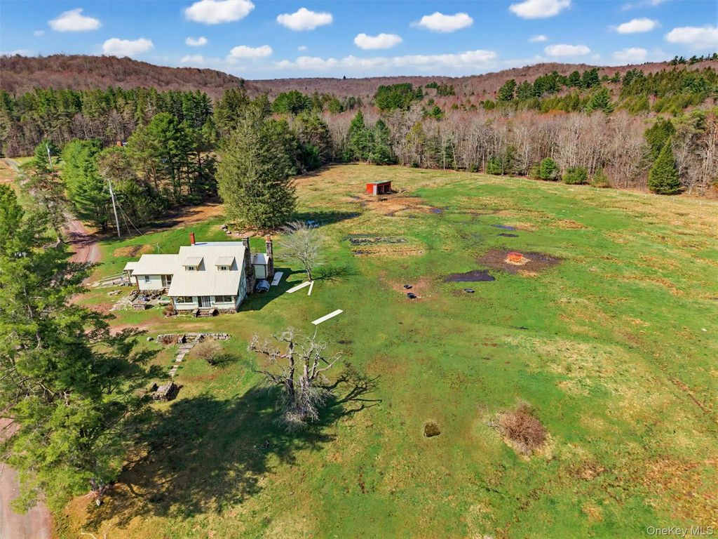 85 Lenape Lake Road, Livingston Manor