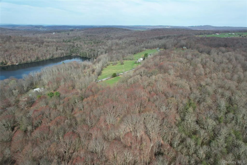 Tbd Stump Pond Road, Livingston Manor