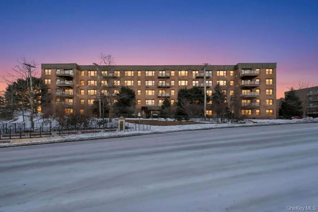 2 Birchwood Court 3d, Mineola