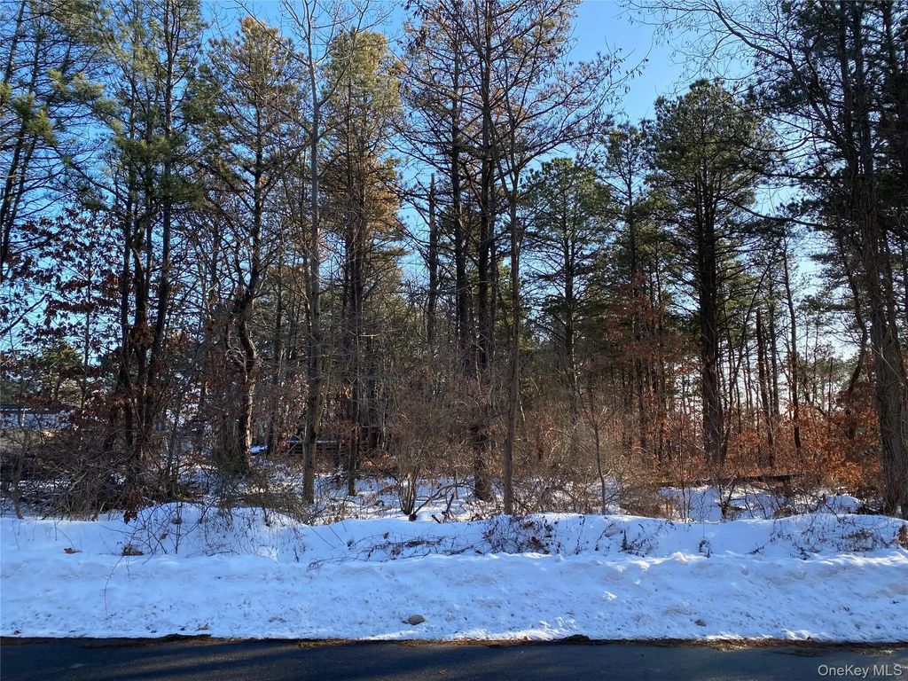 Agamemnon Avenue, Bellport