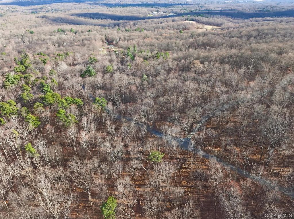 Lenni Lenape Avenue, Wurtsboro