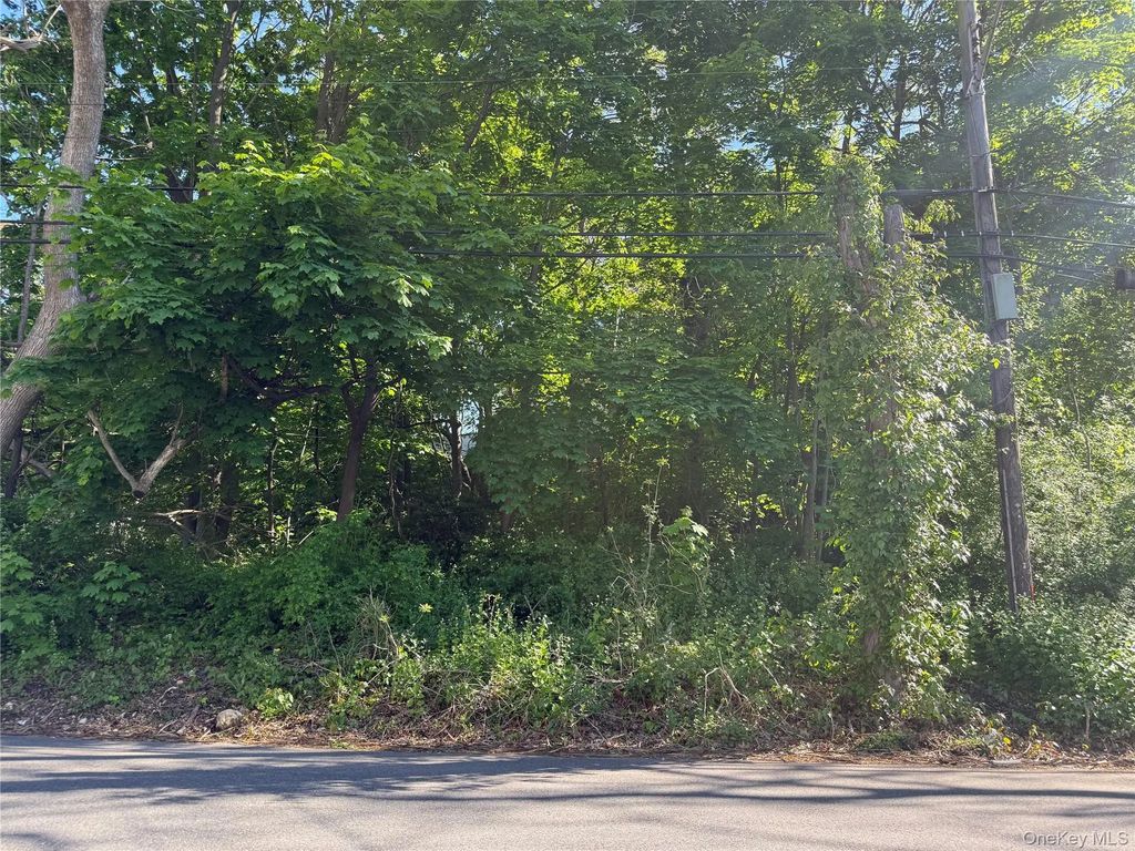 Central Islip Boulevard, Ronkonkoma