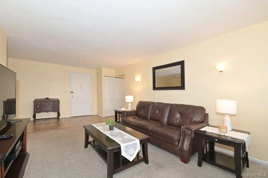 1 Birchwood Court 5f, Mineola