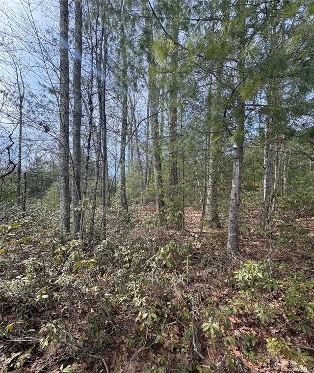 Bennett Road, Napanoch